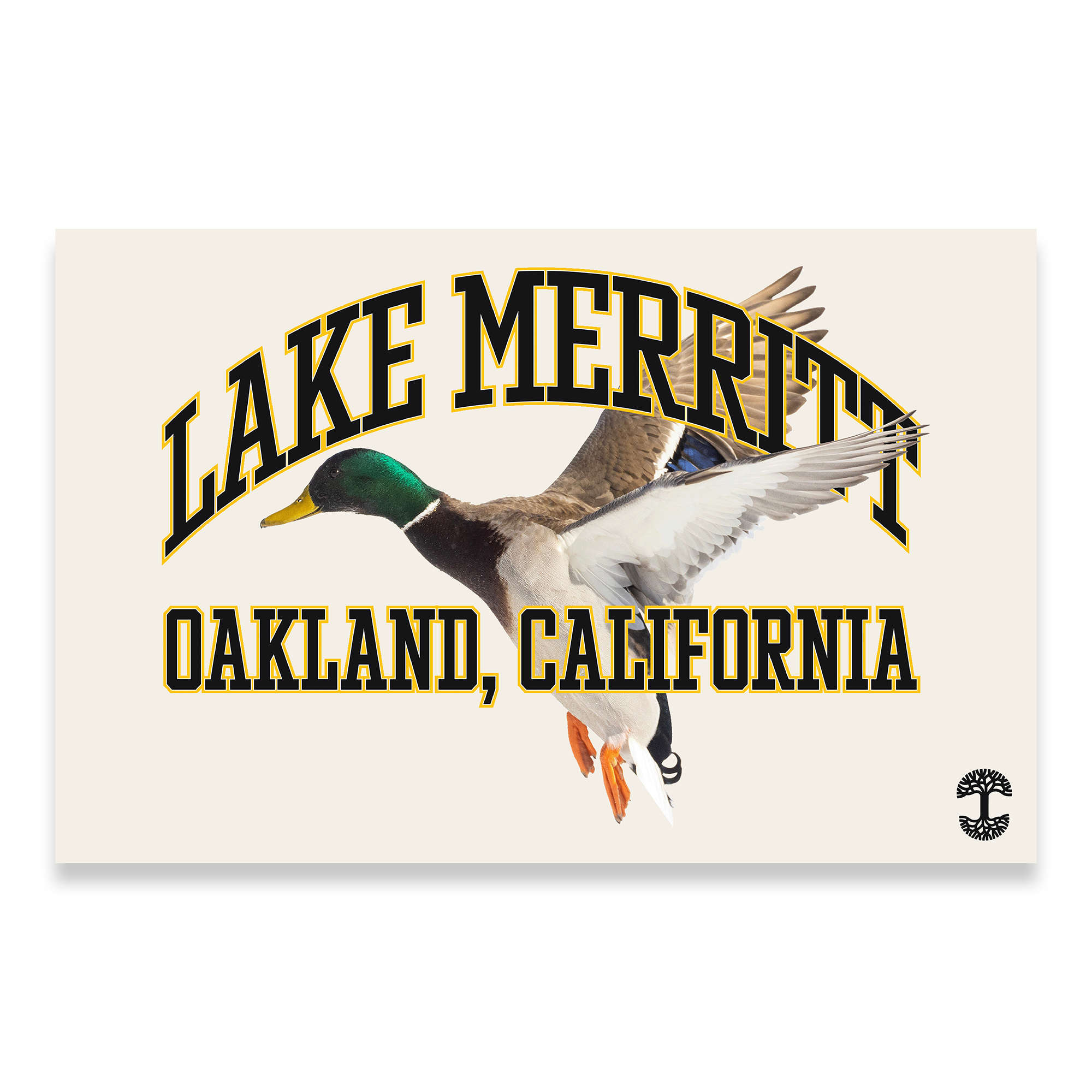 The Duck School Poster by Oaklandish features a vintage-style flying mallard illustration with bold "Lake Merritt" text and "Oakland, California" below. The cream background highlights the design, complemented by an anchor logo in the bottom right adding school nostalgia.