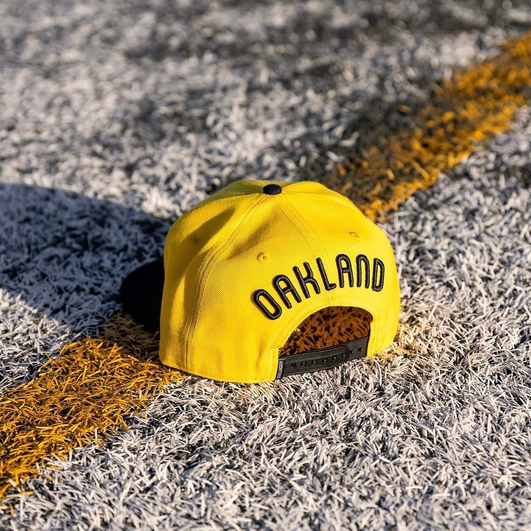 Spiders snapback on field, facing away so that you can see the back of the hat.