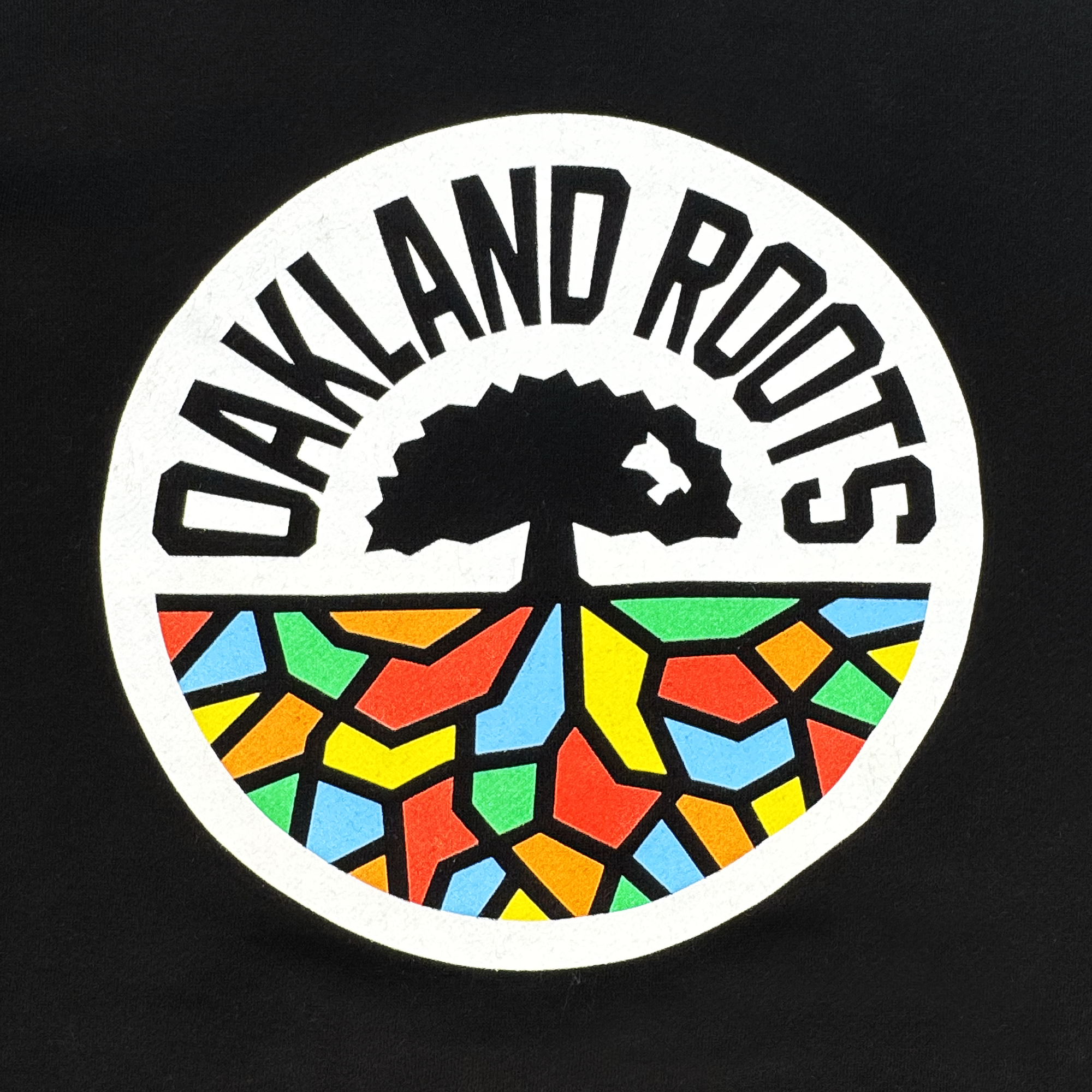 The Oakland Roots SC Classic Hoodie features the dynamic club's logo: a stylized tree silhouette forming a circle, vibrant geometric roots in red, yellow, blue, and green. "OAKLAND ROOTS" arches above it on a black background—a true emblem of the spirit of Oakland Roots SC.